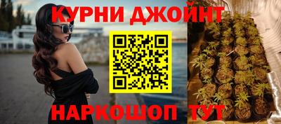 сатива Жуковский